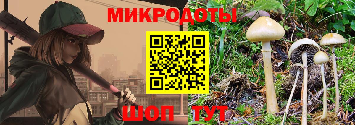 Псилоцибиновые грибы ЛСД Дивногорск