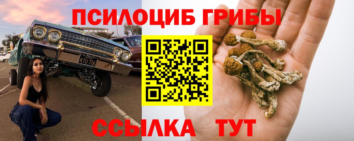 Дивногорск  магазин  наркотиков  Вход с VPN  Галлюциногенные грибы мицелий  Галлюциногенные грибы MAGIC MUSHROOMS 